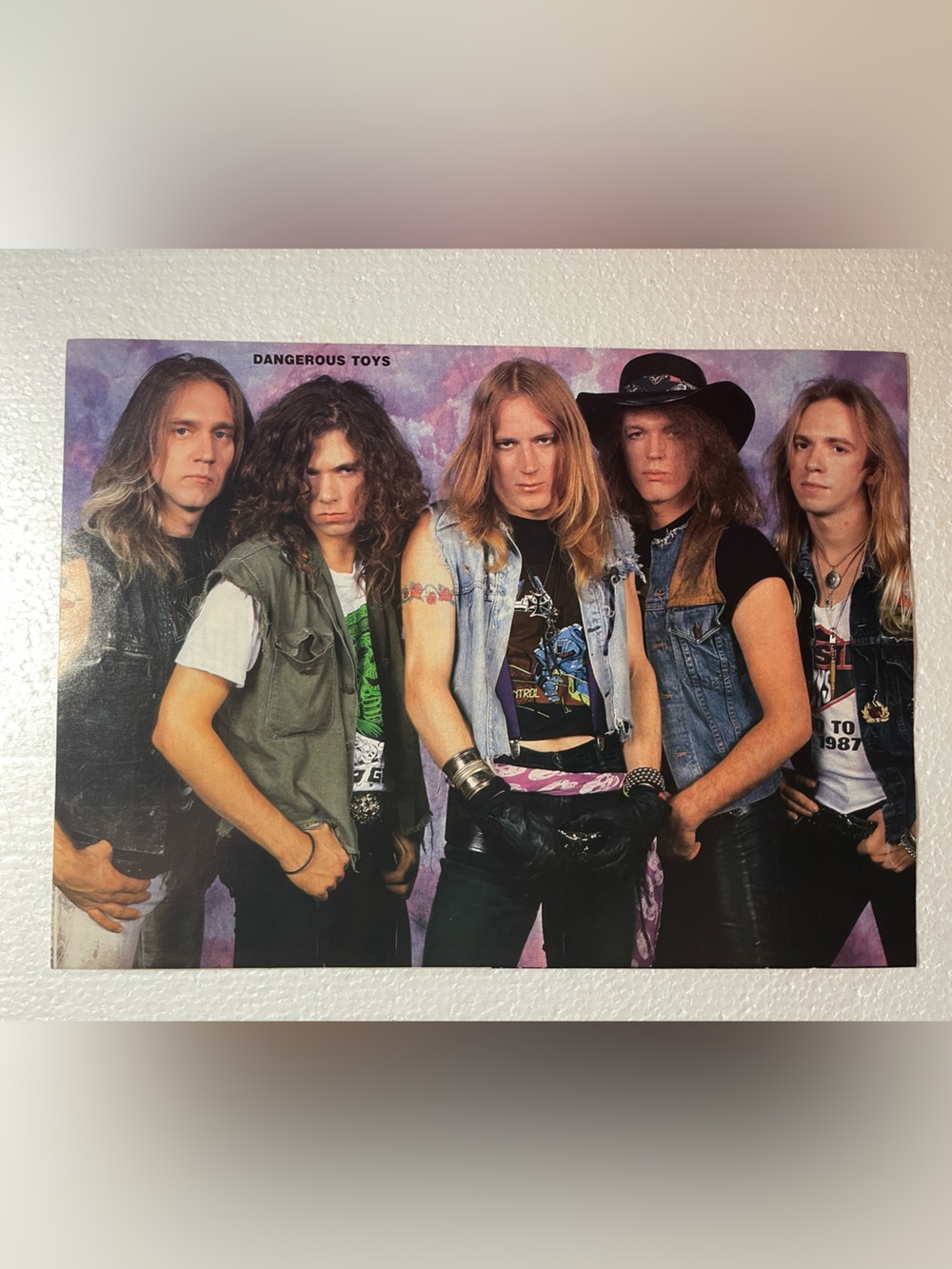 Dangerous Toys Band Pinup- Purple Background